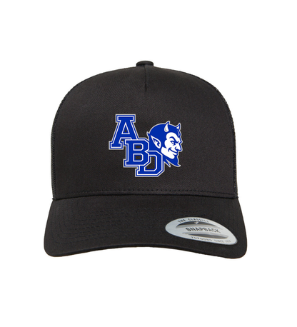ADULT SNAPBACK HAT (various designs)