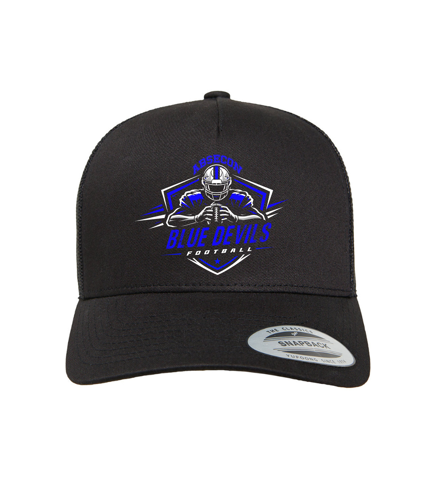 ADULT SNAPBACK HAT (various designs)