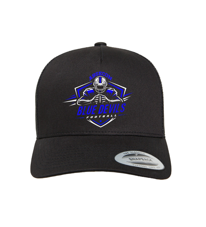 ADULT SNAPBACK HAT (various designs)