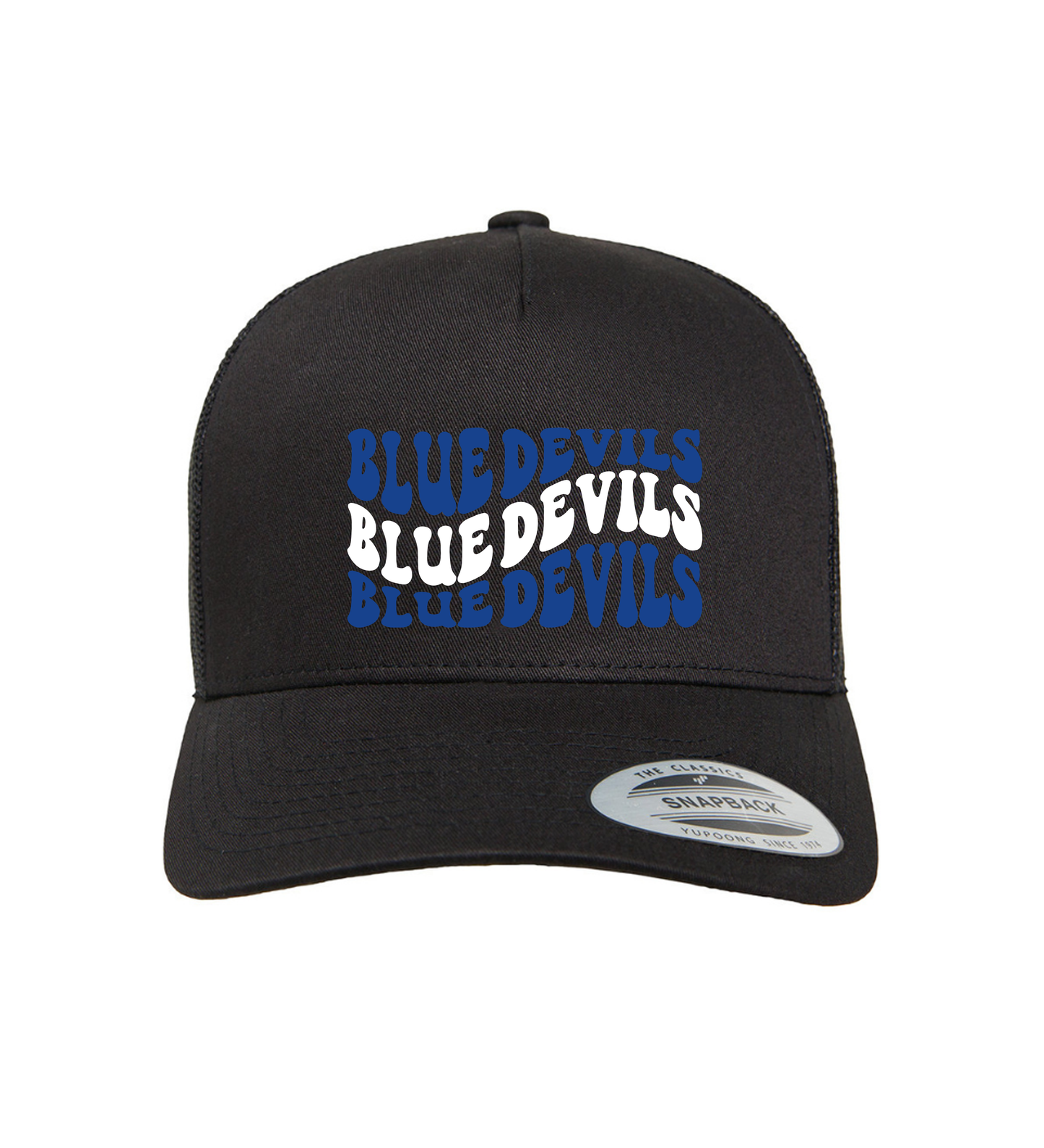 ADULT SNAPBACK HAT (various designs)